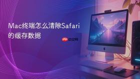 mac终端怎么清除safari的缓存数据