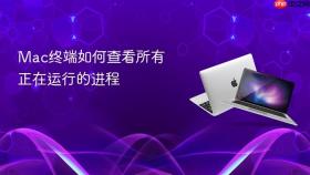 mac终端如何查看所有正在运行的进程