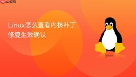 linux怎么查看内核补丁修复生效确认
