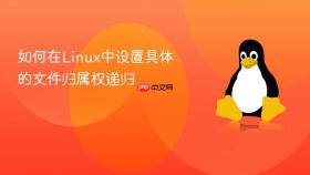 如何在linux中设置具体的文件归属权递归