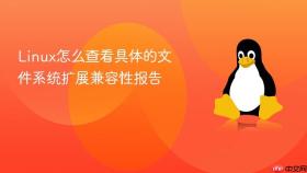 Linux怎么查看具体的文件系统扩展兼容性报告