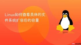 linux如何查看具体的文件系统扩容后的容量