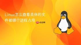 linux怎么查看具体的文件被哪个进程占用