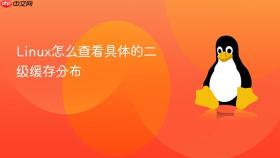 linux怎么查看具体的二级缓存分布