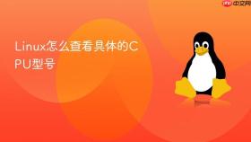 Linux怎么查看具体的CPU型号