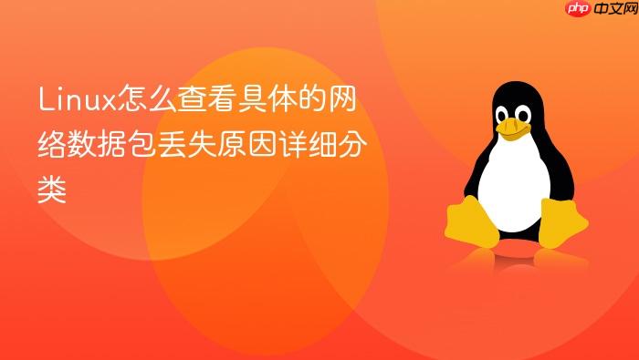 linux怎么查看具体的网络数据包丢失原因详细分类