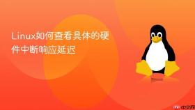linux如何查看具体的硬件中断响应延迟