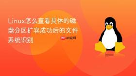Linux怎么查看具体的磁盘分区扩容成功后的文件系统识别
