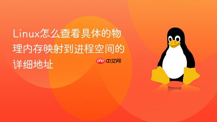 linux怎么查看具体的物理内存映射到进程空间的详细地址