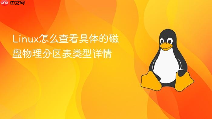 linux怎么查看具体的磁盘物理分区表类型详情
