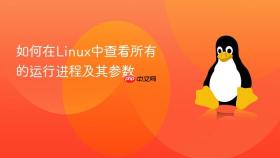 如何在Linux中查看所有的运行进程及其参数