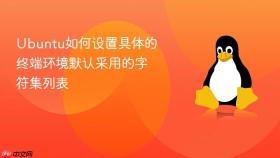 ubuntu如何设置具体的终端环境默认采用的字符集列表