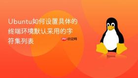 Ubuntu如何设置具体的终端环境默认采用的字符集列表
