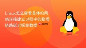 linux怎么查看具体的网络连接建立过程中的物理链路延迟探测数据
