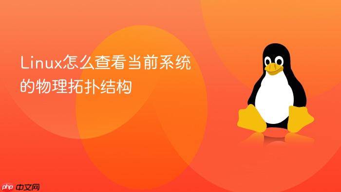 linux怎么查看当前系统的物理拓扑结构