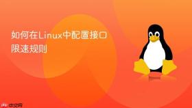 如何在linux中配置接口限速规则