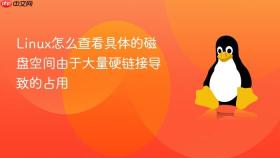 Linux怎么查看具体的磁盘空间由于大量硬链接导致的占用