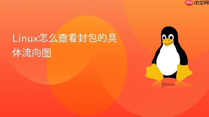 linux怎么查看封包的具体流向图
