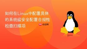 如何在linux中配置具体的系统级安全配置合规性检查扫描项