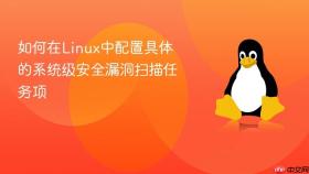 如何在linux中配置具体的系统级安全漏洞扫描任务项