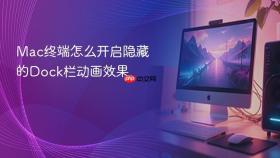 mac终端怎么开启隐藏的dock栏动画效果