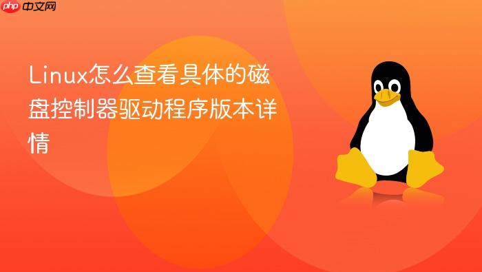 linux怎么查看具体的磁盘控制器驱动程序版本详情