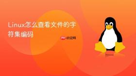 Linux怎么查看文件的字符集编码