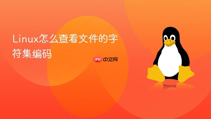 linux怎么查看文件的字符集编码