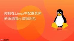如何在Linux中配置具体的系统防火墙规则包