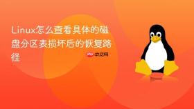 linux怎么查看具体的磁盘分区表损坏后的恢复路径