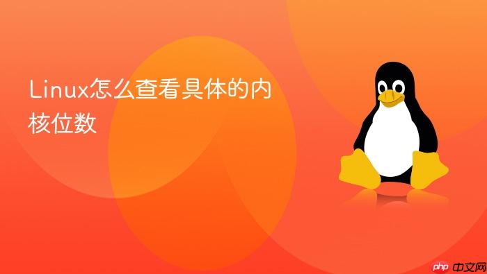 linux怎么查看具体的内核位数