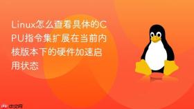 Linux怎么查看具体的CPU指令集扩展在当前内核版本下的硬件加速启用状态
