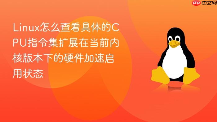 linux怎么查看具体的cpu指令集扩展在当前内核版本下的硬件加速启用状态