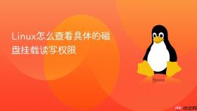 linux怎么查看具体的磁盘挂载读写权限