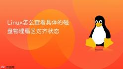Linux怎么查看具体的磁盘物理扇区对齐状态