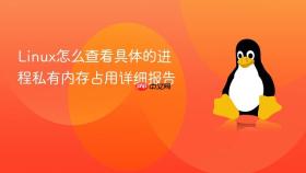 Linux怎么查看具体的进程私有内存占用详细报告