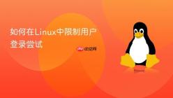 如何在Linux中限制用户登录尝试