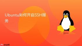 ubuntu如何开启ssh服务