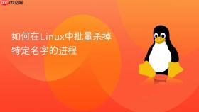 如何在Linux中批量杀掉特定名字的进程