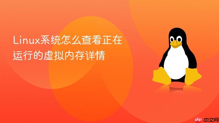 linux系统怎么查看正在运行的虚拟内存详情