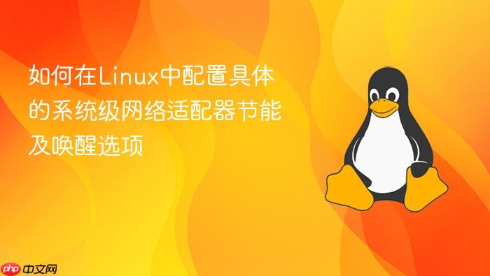如何在linux中配置具体的系统级网络适配器节能及唤醒选项