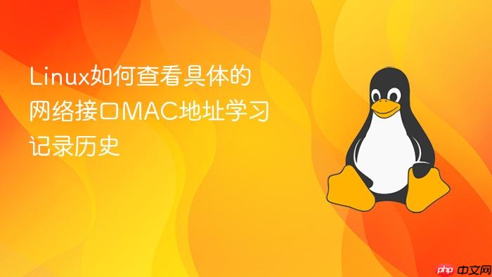 linux如何查看具体的网络接口mac地址学习记录历史