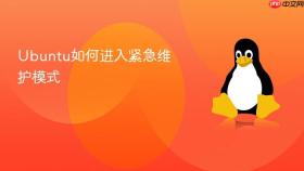 Ubuntu如何进入紧急维护模式