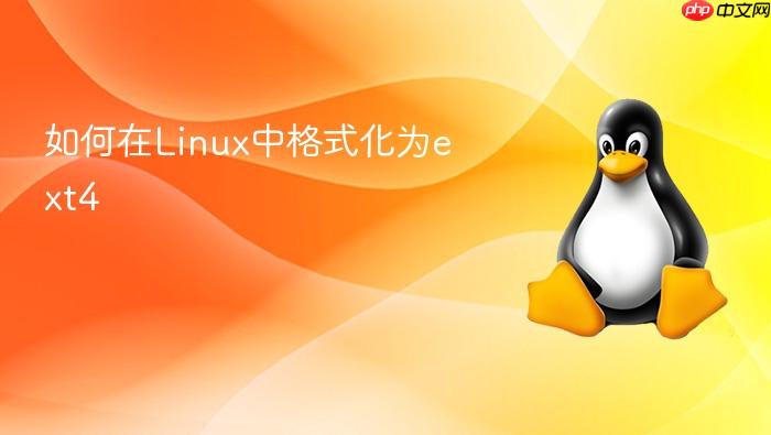 如何在linux中格式化为ext4