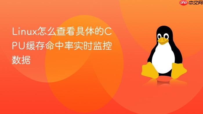 linux怎么查看具体的cpu缓存命中率实时监控数据