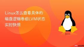 Linux怎么查看具体的磁盘逻辑卷组LVM状态实时快照