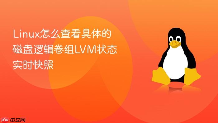 linux怎么查看具体的磁盘逻辑卷组lvm状态实时快照