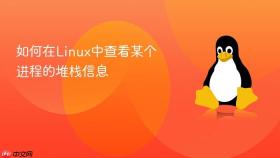 如何在linux中查看某个进程的堆栈信息