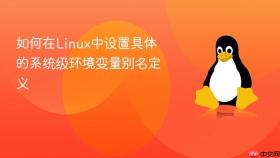 如何在Linux中设置具体的系统级环境变量别名定义