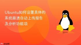 ubuntu如何设置具体的系统崩溃自动上传报告及分析功能项